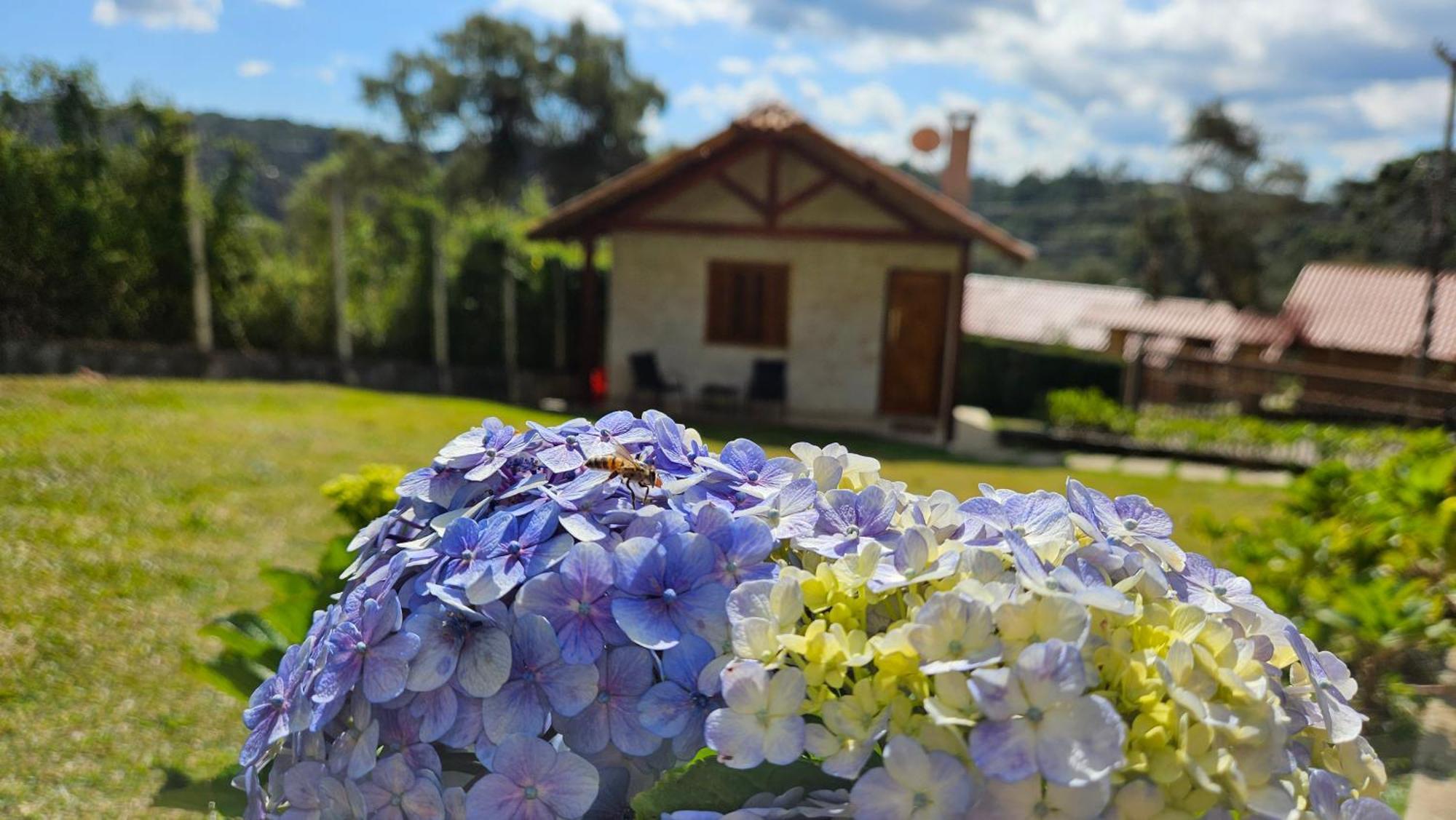 Chalé Gosto da Roça Monte Verde  Exterior foto